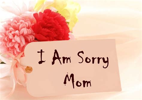 sorrymother|How to Say Sorry to Your Mother After a Great Mistake: 13 Steps